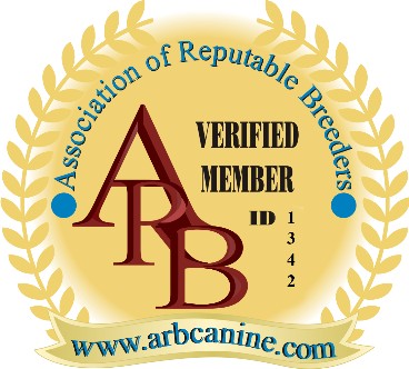 ARB_Logo